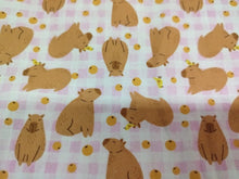 Cargar imagen en el visor de la galería, Capibara