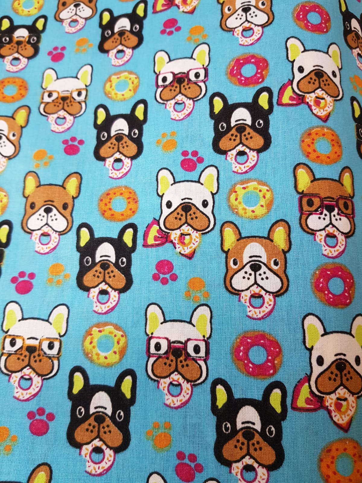 Perros frenchies fondo turquesa
