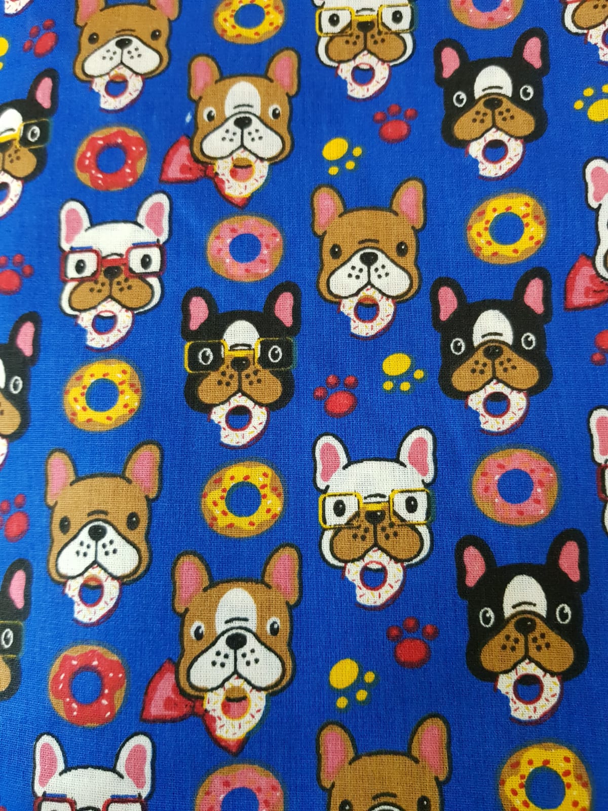 Perros frenchies fondo azul