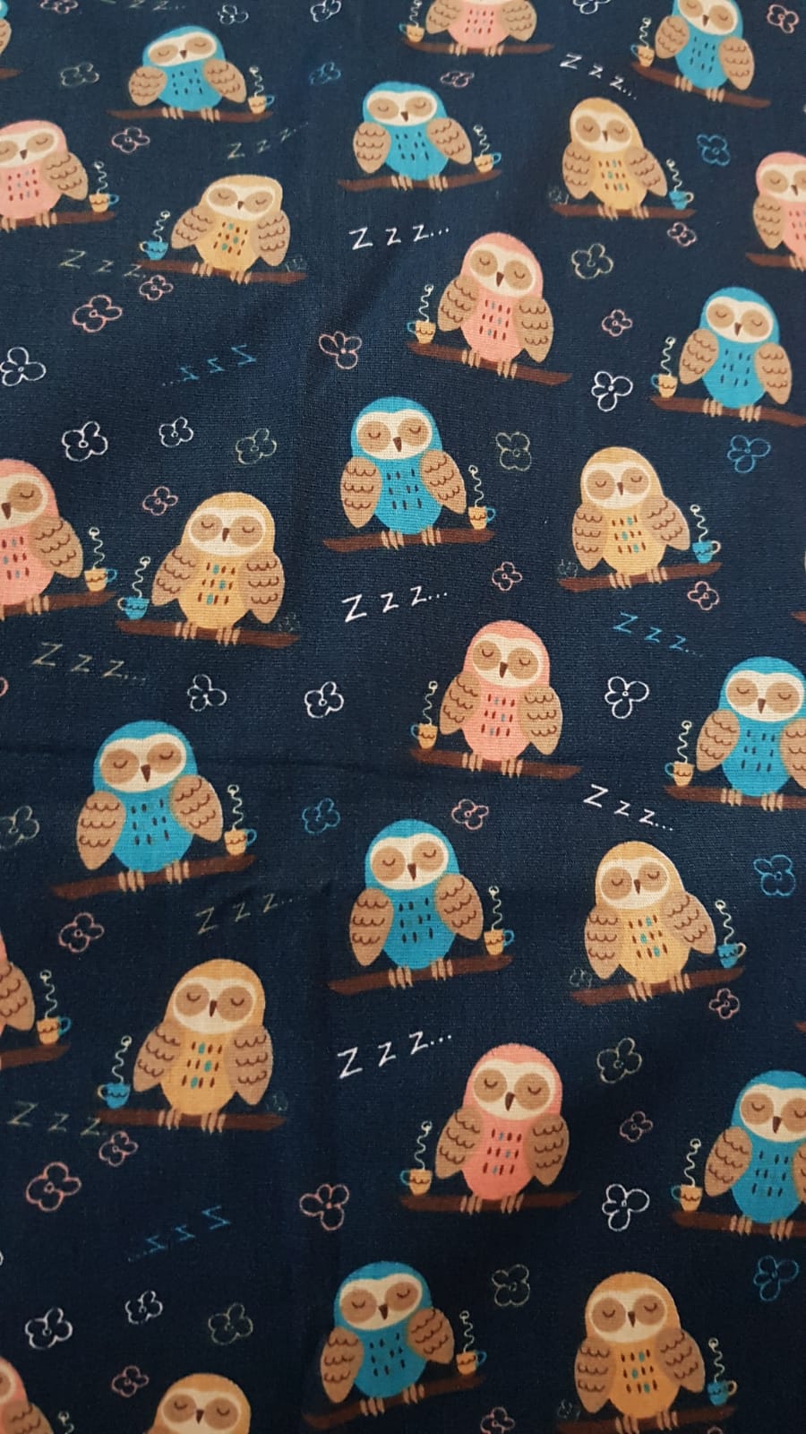 Buho ZZZ fondo azul