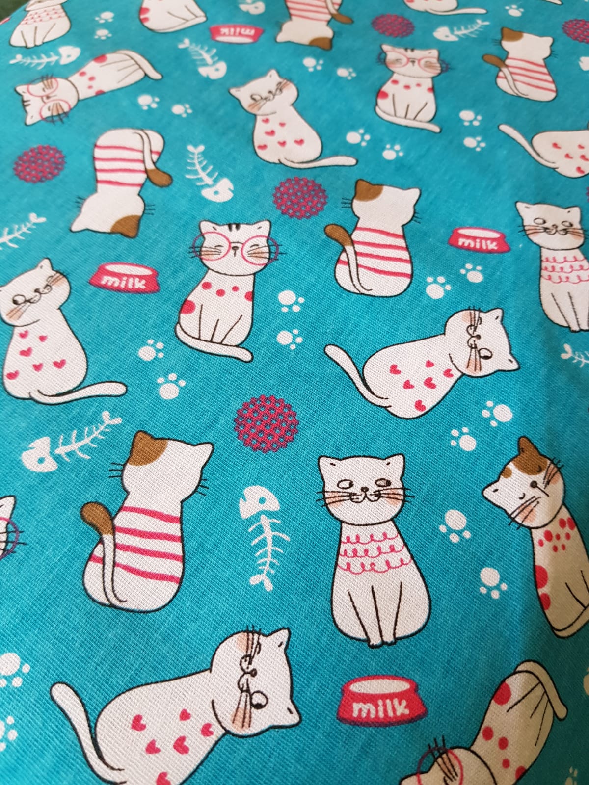 Gatos