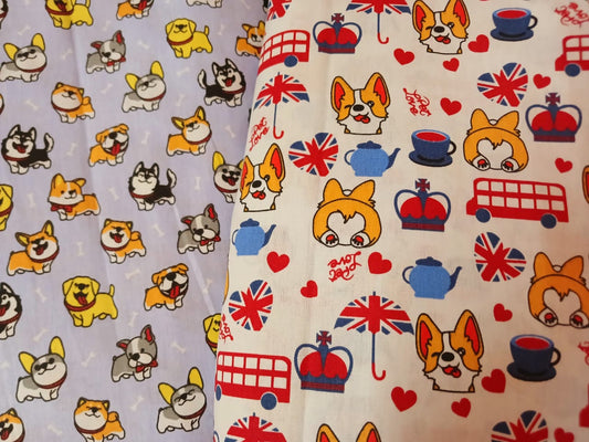 Perros Corgi fondo celeste