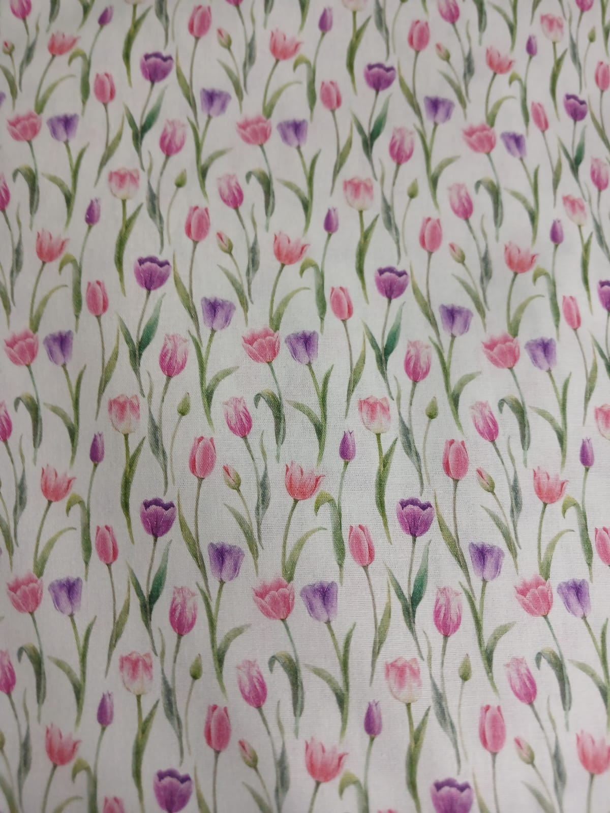 Mini tulipanes rosas y lilas