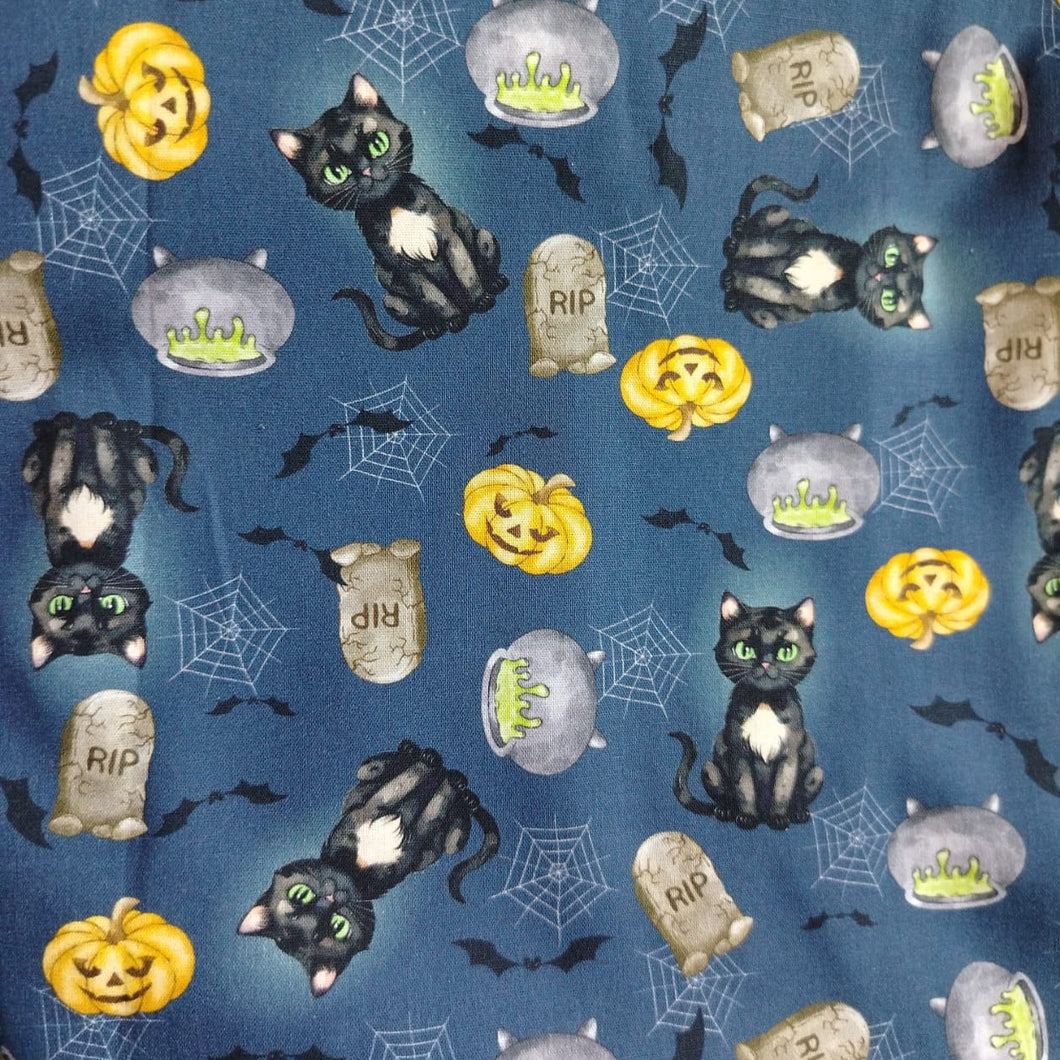 Halloween gato y calabaza