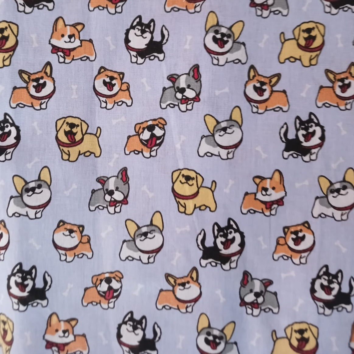 Perros Corgi fondo celeste