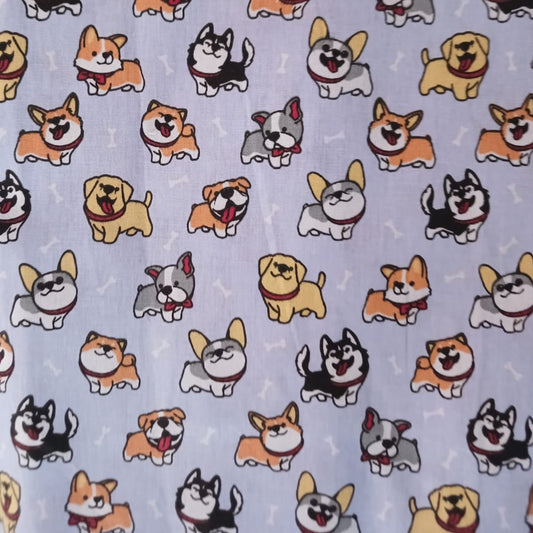 Perros Corgi fondo celeste