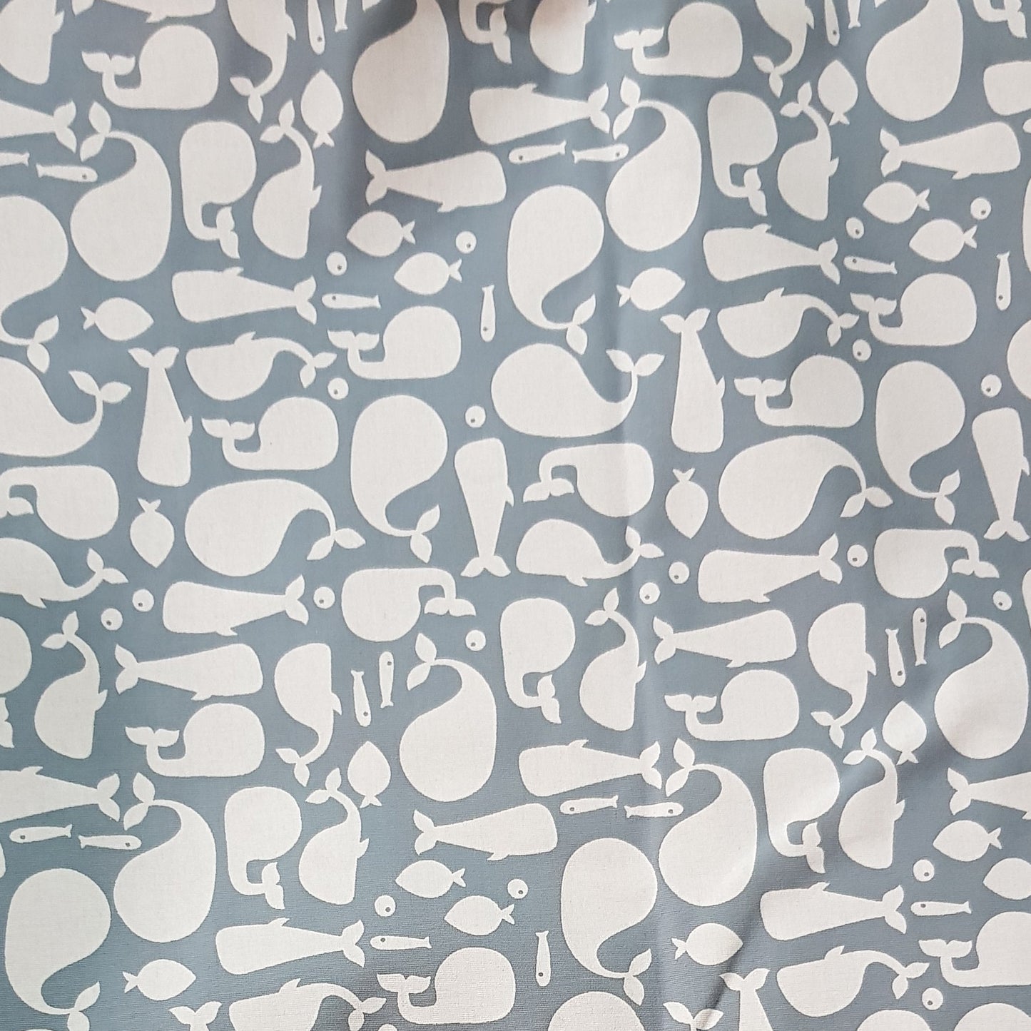 Ballena fondo gris