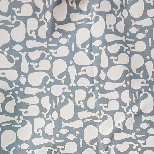 Ballena fondo gris