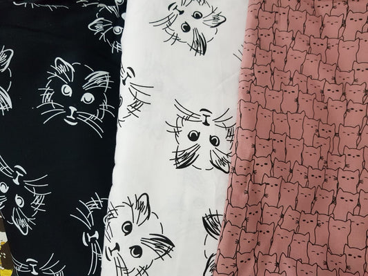 Gato, fondo negro