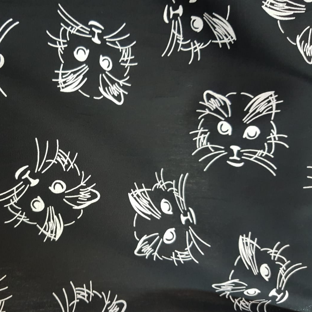 Gato, fondo negro