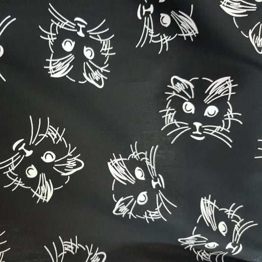 Gato, fondo negro