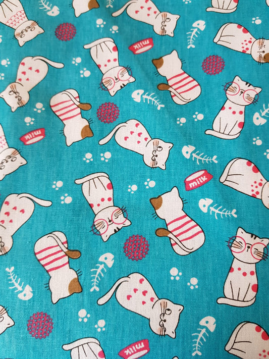 Gatos con sueter fondo turquesa