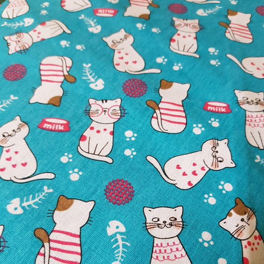 Gatos con sueter fondo turquesa