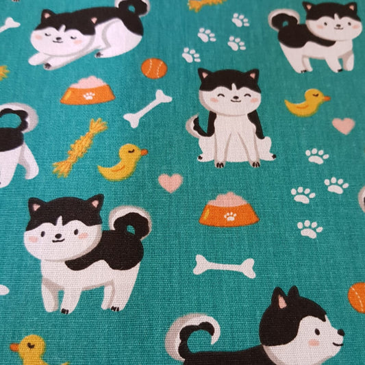 Perros hushky fondo turquesa