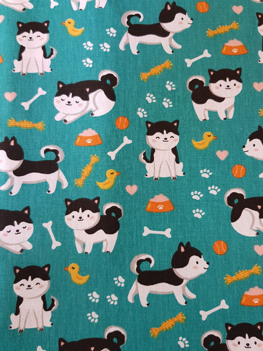 Perros hushky fondo turquesa