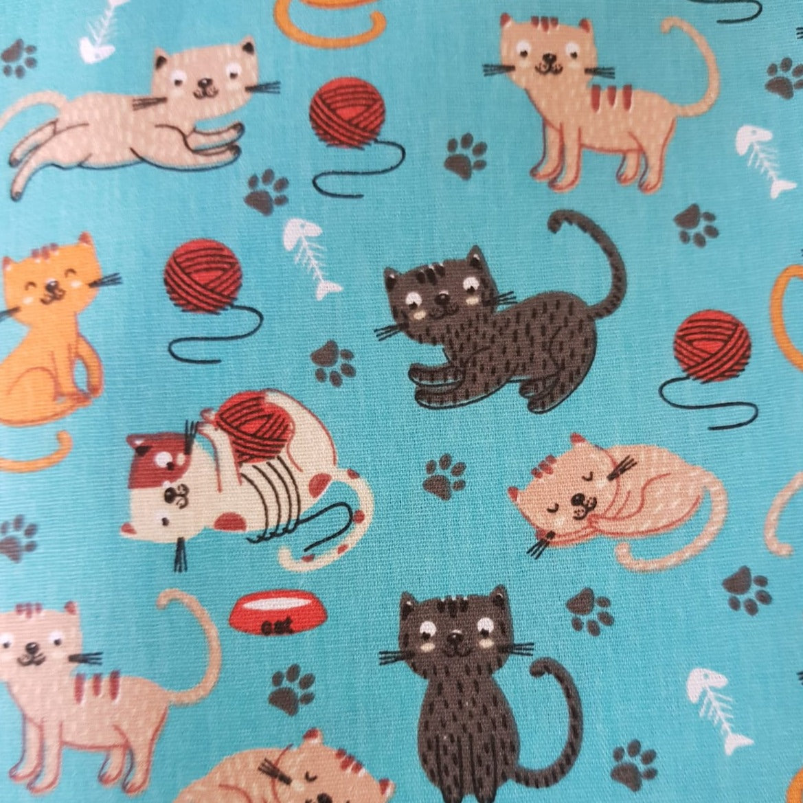 Gatos juguetones fondo turquesa
