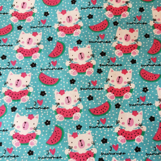 Gatos con sandia fondo turquesa Frutales