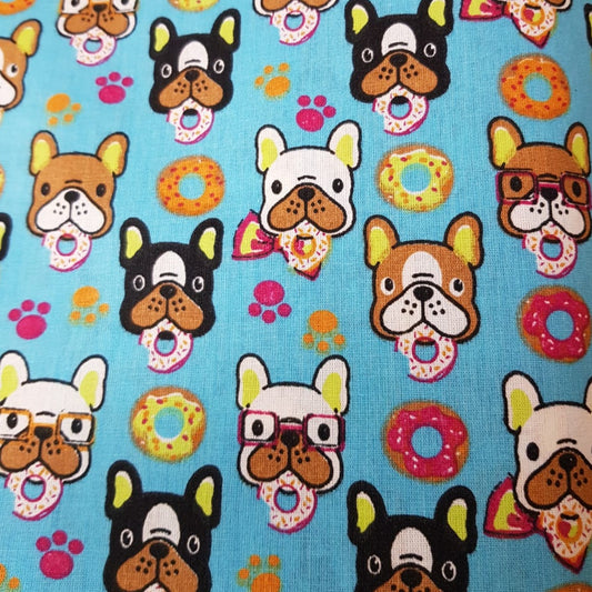 Perros frenchies fondo turquesa