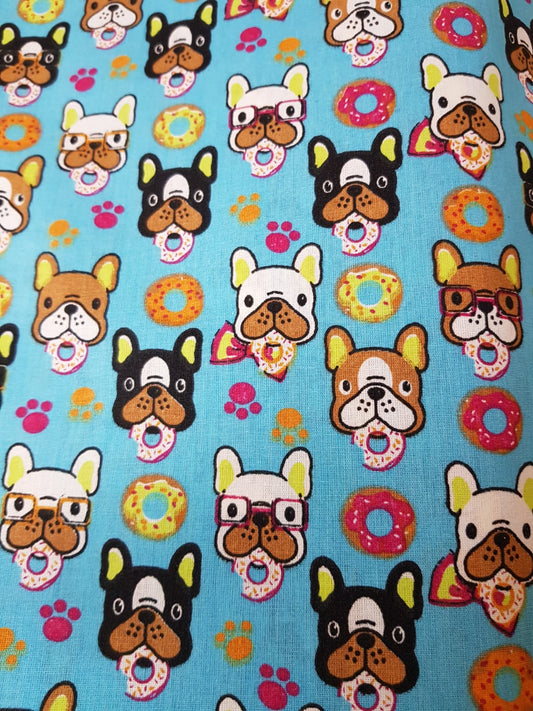 Perros frenchies fondo turquesa