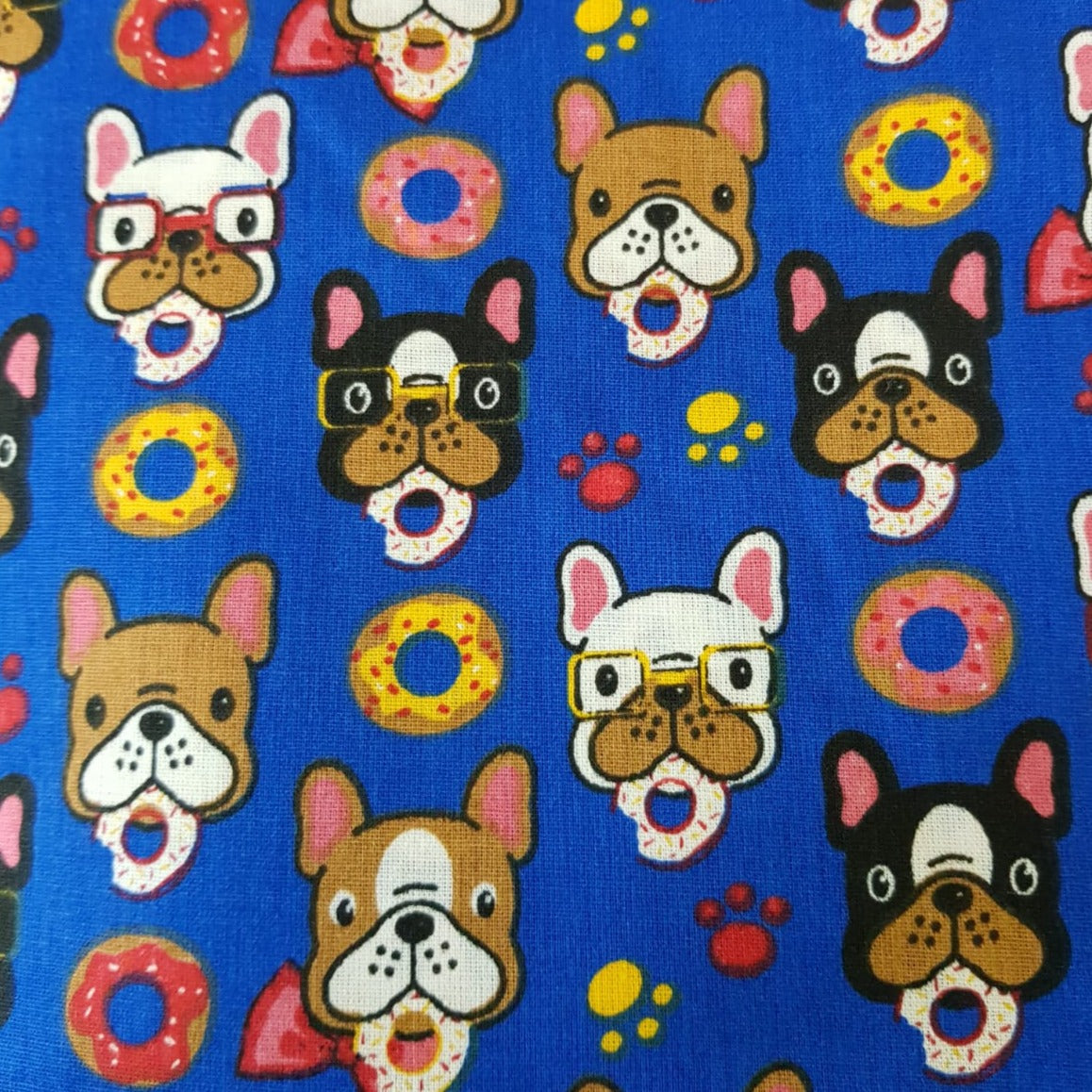 Perros frenchies fondo azul