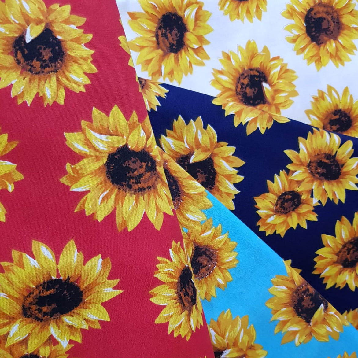 Girasoles sueltos fondo rojo
