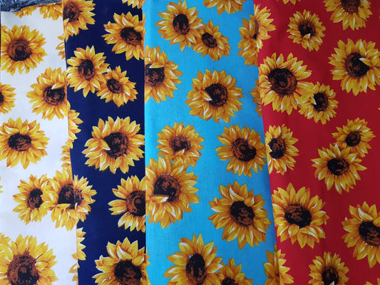 Girasoles sueltos fondo celeste
