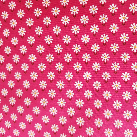 Floreada margaritas fondo pink
