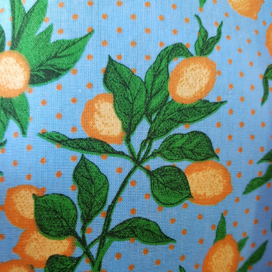 Frutales limones fondo  celeste