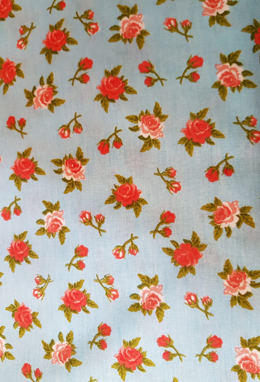 Rositas pequeñas fondo celeste