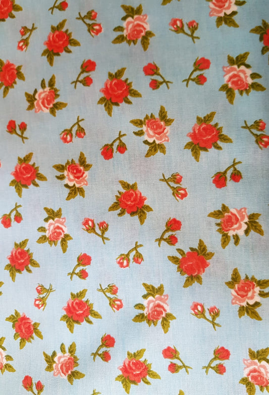 Rositas pequeñas fondo celeste