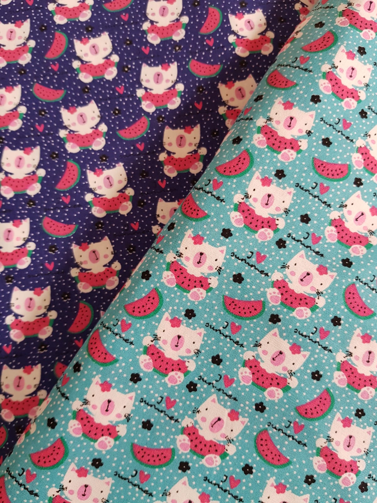 Gatos con sandia fondo azul Frutales
