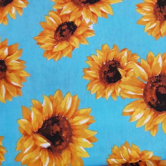 Girasoles sueltos fondo celeste