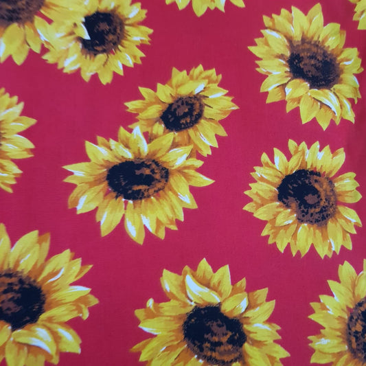 Girasoles sueltos fondo rojo