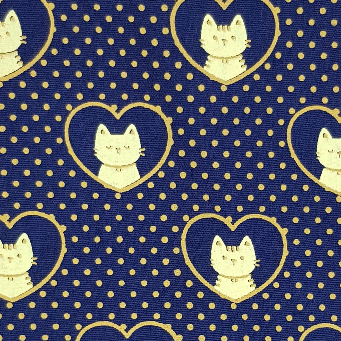 Gatos con dorado y fondo azul