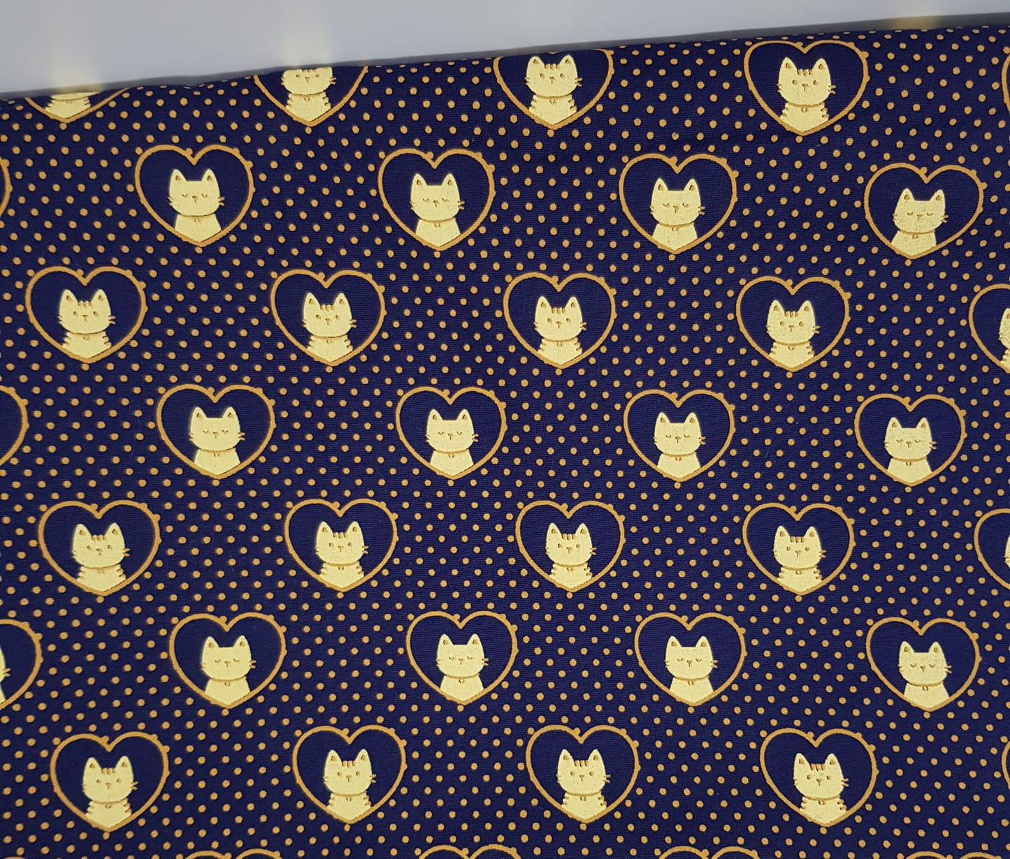Gatos con dorado y fondo azul