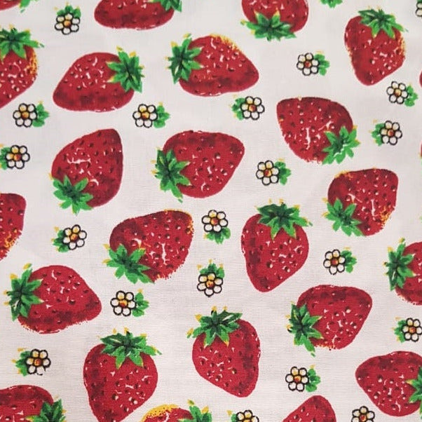Frutales, frutilla fondo blanco