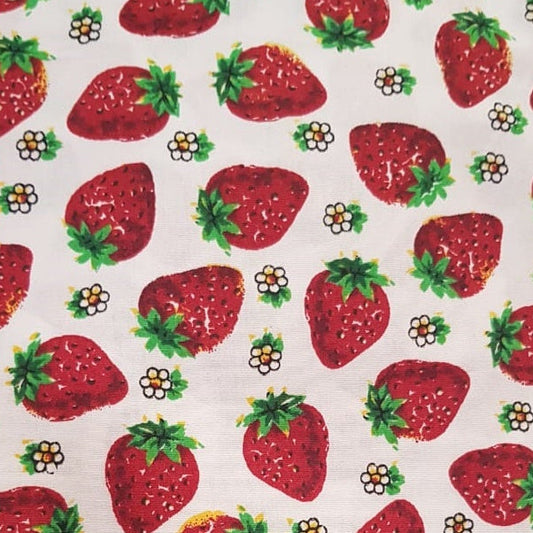 Frutales, frutilla fondo blanco